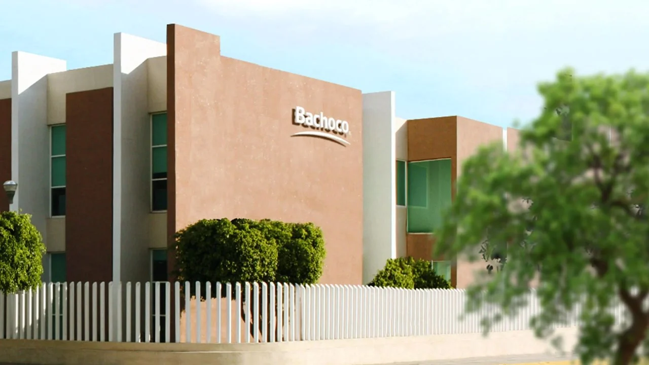 Cliente Bachoco